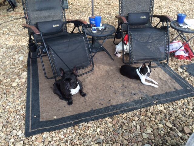 A square brown/tan rug with 2  dark blue outdoor reclining chairs. Two dogs sit in front of the chairs.